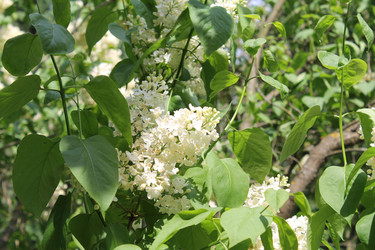 Similar image 22747958