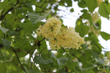 Similar image 22747959