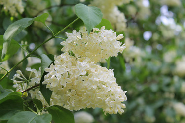 Similar image 22747960