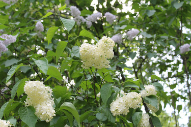 Similar image 22747961