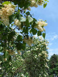 Similar image 22747962