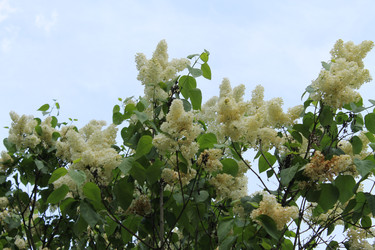 Similar image 22747963
