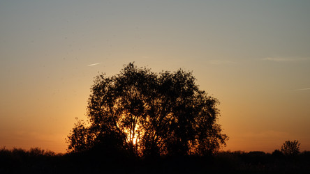 Similar image 22753894