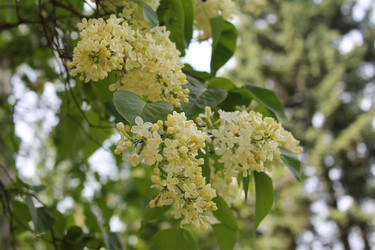 Similar image 22747970