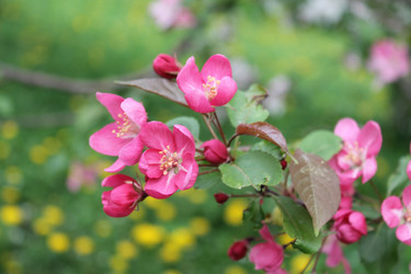 Similar image 22747971