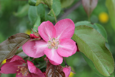 Similar image 22747986