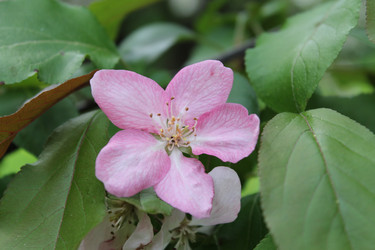 Similar image 22747988