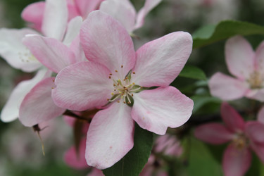 Similar image 22747989