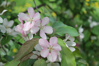Similar image 22747990
