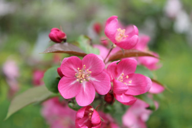 Similar image 22747991
