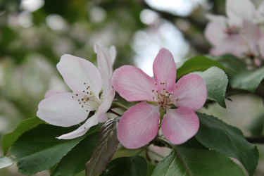 Similar image 22747972