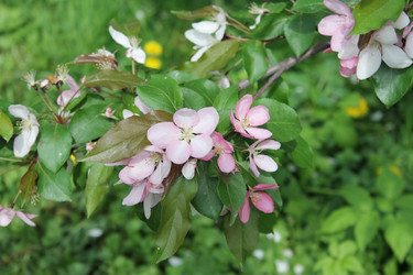 Similar image 22747975
