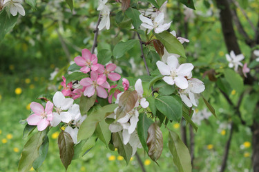 Similar image 22748012