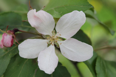 Similar image 22747996