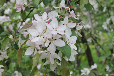 Similar image 22747997