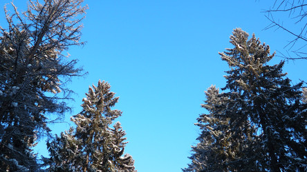 Similar image 22747902