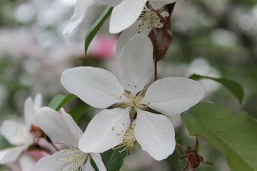Similar image 22747998