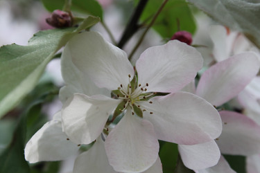 Similar image 22747999