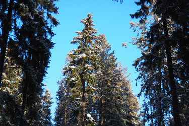 Similar image 22747816
