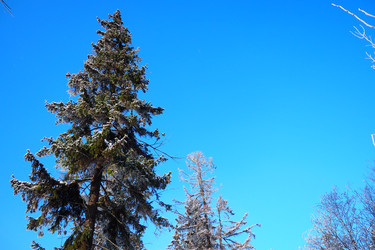 Similar image 22747818