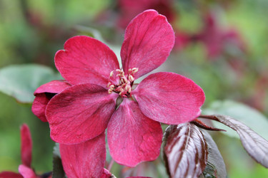 Similar image 22747946