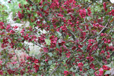 Similar image 22747967