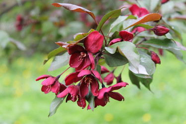 Similar image 22747982