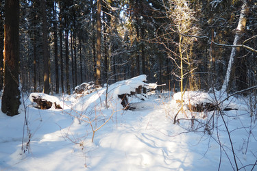 Similar image 22749472
