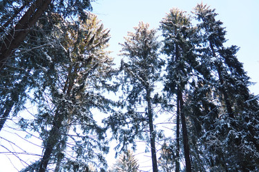 Similar image 22749487