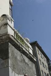 Similar image 22753806