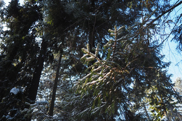 Similar image 22749517