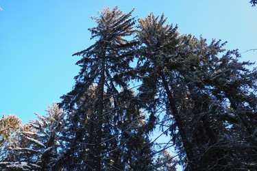 Similar image 22749519
