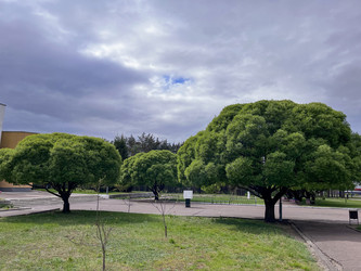 Similar image 22753788