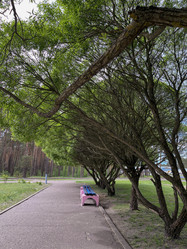 Similar image 22753790