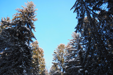 Similar image 22749491
