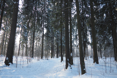 Similar image 22749492