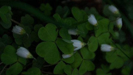 Similar image 22750601