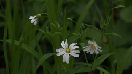 Similar image 22750605