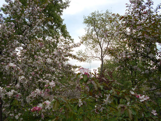 Similar image 22747913