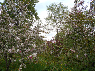 Similar image 22747922