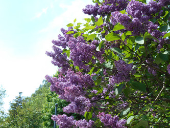 Similar image 22747923