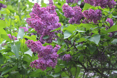 Similar image 22747924