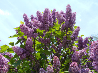 Similar image 22747930