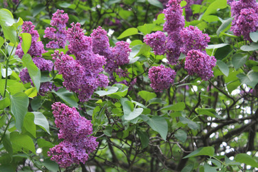 Similar image 22747932
