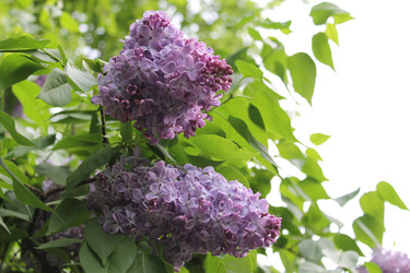 Similar image 22747934