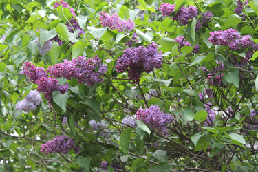 Similar image 22747936