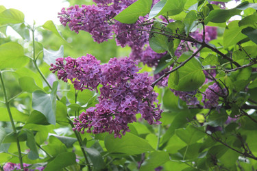 Similar image 22747938