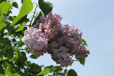 Similar image 22747939