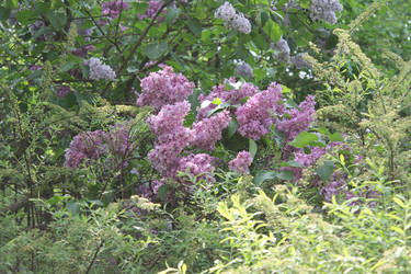 Similar image 22747949