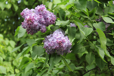 Similar image 22747950